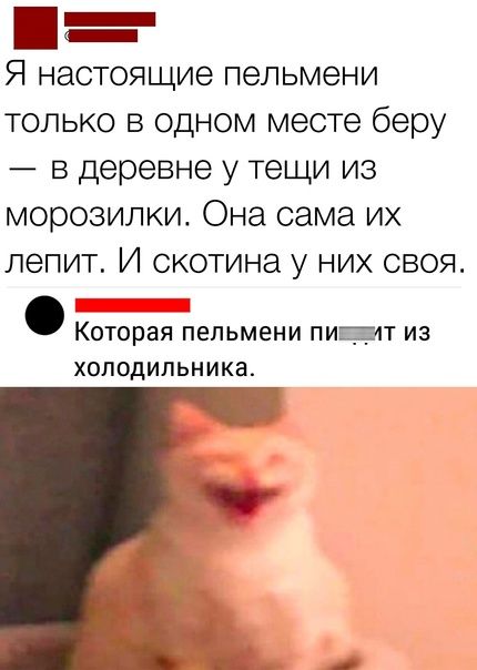 Я настоящие пельмени только в одном месте беру в деревне у тещи из морозилки Она сама их лепит И скотина у них своя Которая пельмени пищит из холодильника