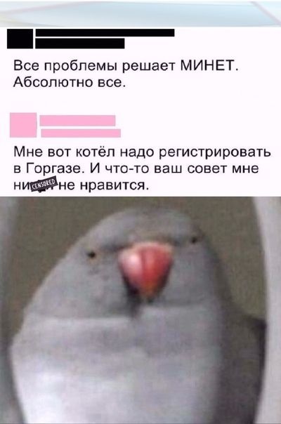 Все проблемы решает МИНЕТ Абсолютно все Мне вот котёл надо регистрировать в Горгазе И чтсъто ваш совет мне нне нравится