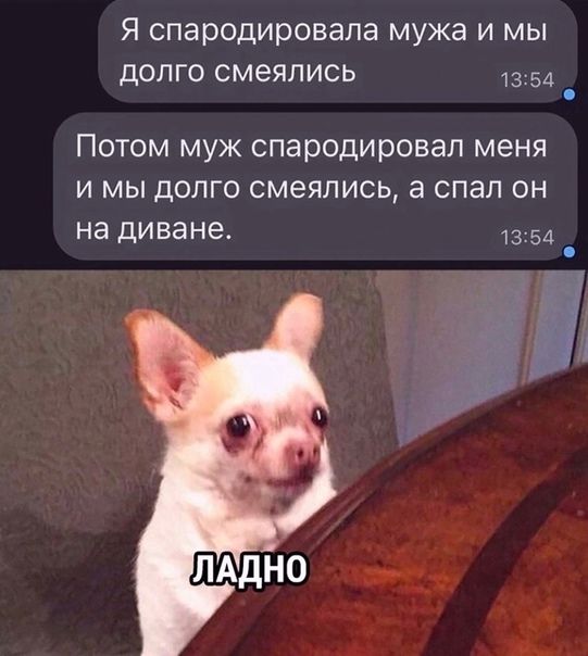 Я спародировала мужа и мы долго смеялись 1354 ПОТОМ МУЖ СПЭРОДИРОВЭЛ МЕНЯ И МЫ ДОЛГО смеялись а СПЭЛ ОН на диване 1354 ЛАдНО