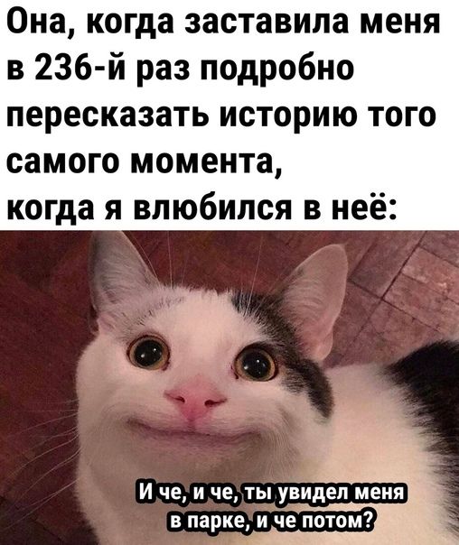 Она когда заставила меня в 236 й раз подробно пересказать историю того самого момента когда я влюбился в неё и че и че ты увидел меня в парке и че потом