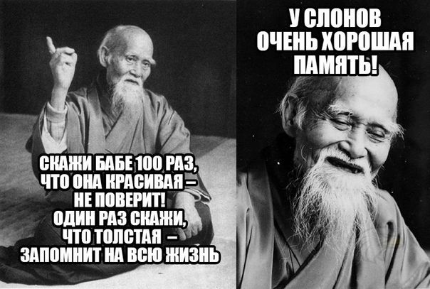 планов пчъиь хороши шииты ВПШ БАБ 10 РП что пи МБШ Ь ЭМОЦИИ Ш ИШ ЖИЗНЬ