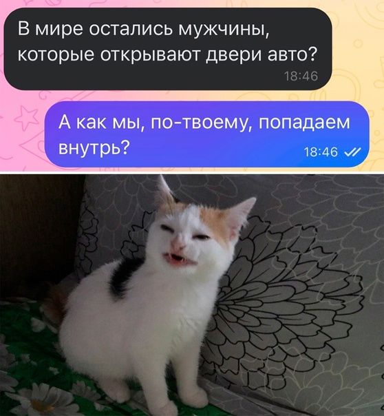 В мире остались мужчины которые открывают двери авто А как мы потвоему попадаем внутрь 1846