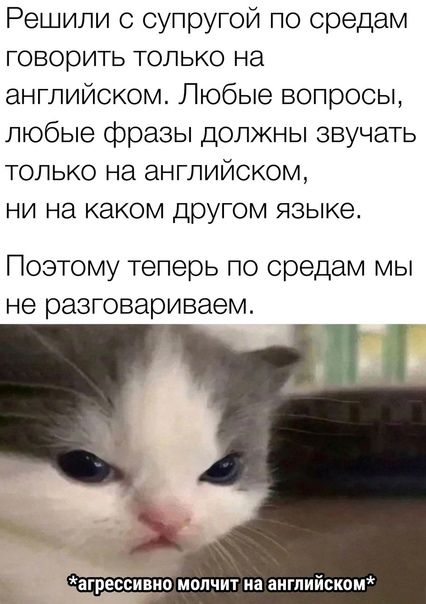 Решили с супругой по средам говорить только на английском Любые вопросы любые фразы должны звучать только на английском ни на каком другом языке Поэтому теперь по средам мы не разговариваем агрессивцо молчит на английском