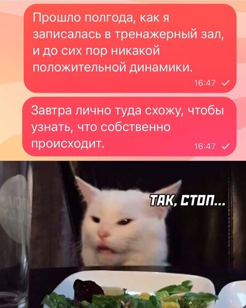 Прошло полгода как записалась В тренажерный зал и до сих пор никакой ПОЛОЖИТВЛЬНОЙ динамики 1847 Энгра лично туда съезжу чтобы узнать чта собы выми