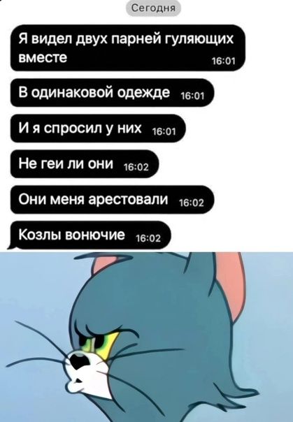 Ссшцня я видел двух парней гуляющих вместе 6 01 в одинаковой одежде твт И я спросил у них 1501 Не геи ли они 1602 Они меня арестовали и Козлы вонючие