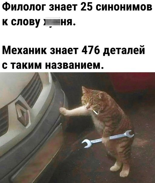 Филолог знает 25 синонимов к слову _ня Механик знает 476 деталей таким названием
