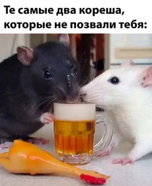 Те самые два кореша которые не позвали тебя