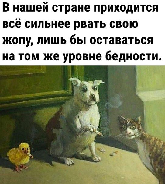 В нашей стране приходится всё сильнее рвать свою жопу лишь бы оставаться на том же уровне бедности