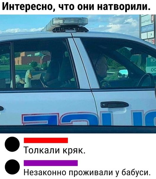 Интересно что они натворили _ Незаконно п оживапи у бабуси