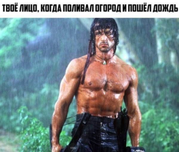 _