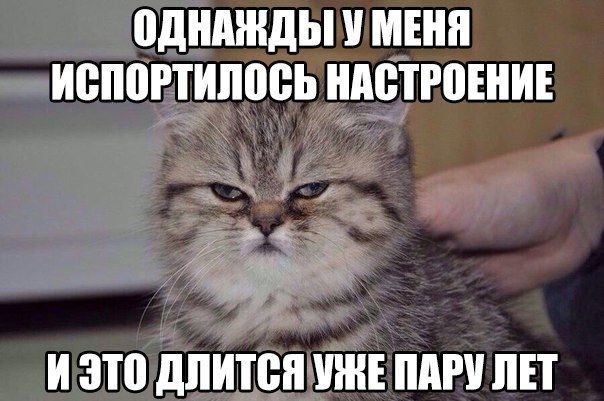пднмнды МЕНЯ ИВПВРТИШЮЬ НАВТР0ЕИЕ г а И ЭТВ длится УЖЕ ПАРУ ПЕТ