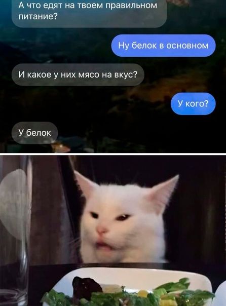 А ЧТ едят На твоем правильном питание У белок