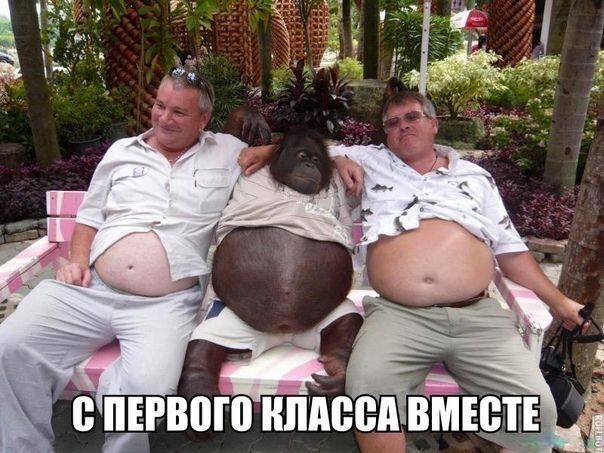 А А _ Ёпюго нпдеед ВМЕСТЕ