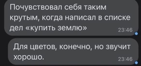 Почувствовап себя таким крутым когда написал в списке деп купить землю 23 45 Для цветов конечно но звучит хорошо 23416