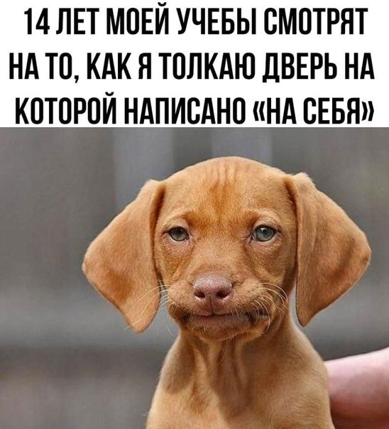 14 ЛЕТ МОЕЙ УЧЕБЫ ВМПТРЯТ НА ТВ КАК Я ТПЛКАЮ ЛВЕРЬ НА КПТОРОЙ НАПИСАНО НА СЕБЯ