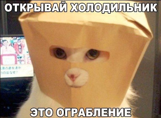 ОТЁВЬЁШЁАРЁФЛФДИП БЕН ИК
