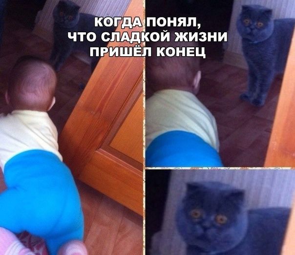 ЧТО СЛАДКОЙ ЖИЗНИ ПРИШЁП КОНЕЦ і 9