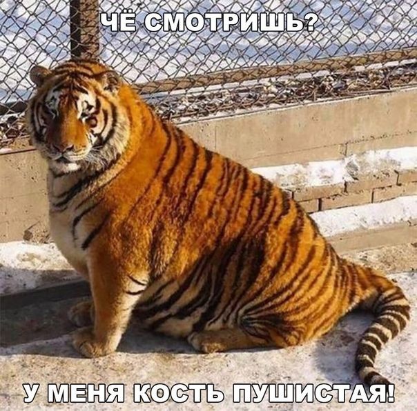 и дУ