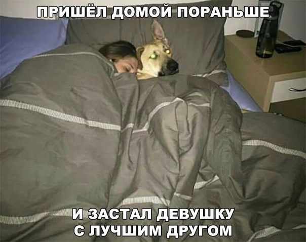 _П РИБЁП _дОМОИ ПОРАііыг Ирисы девушку с лучшим другом