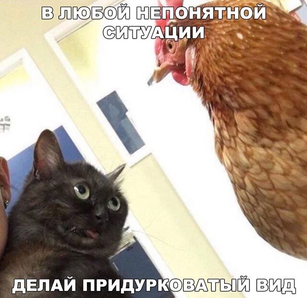 1035 ВПЕПО двлдй придуркоШАіШЁ