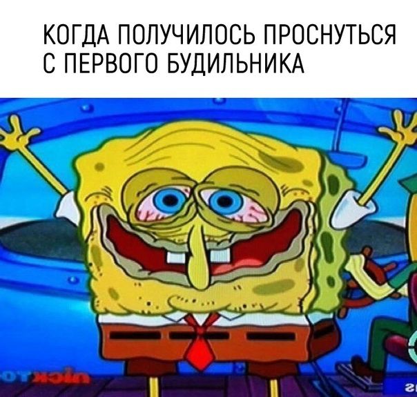 КОГДА ПОЛУЧИЛОСЬ ПРОСНУТЬСЯ С ПЕРВОГО БУДИЛЬНИКА