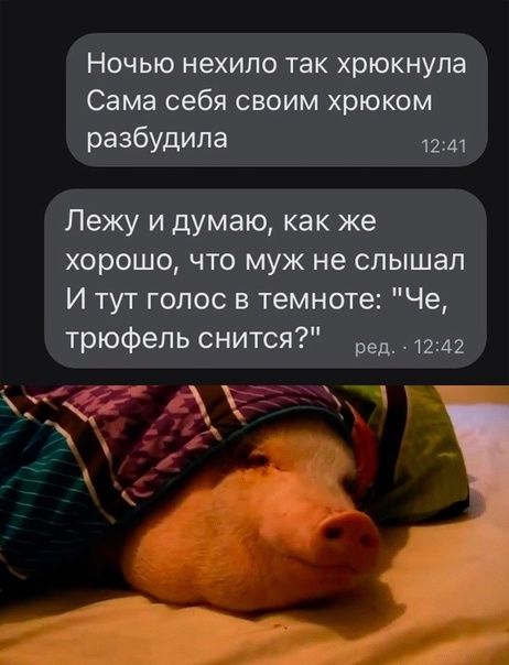 Ночью нехило так хрюкнула Сама себя своим хрюком разбудила 1241 Лежу и думаю как же хорошо что муж не слышал И тут голос в темноте Че трюфепь снится 1242 ч и