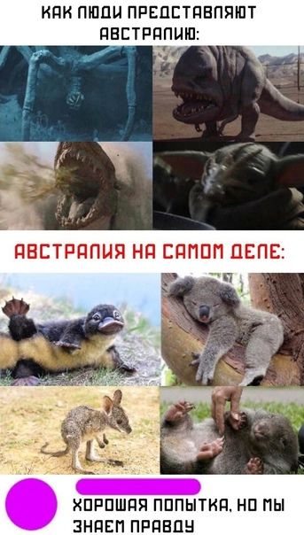КПК ПШПН ПРЕПСТПВПЯШТ ПЕЕТРЧПШП КПРПШЯЯ ПППЫТКП НП ПЫ ЗНПЕП ПРПВЦН