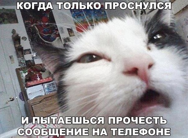 КОГДА ТОЛЬКО П РОЗНУШФБЯ