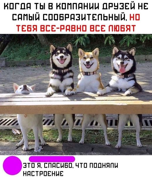 КПГЦП _Ь В НППППННЦ ЦРНЧЕЙ НЕ ЕППЫН ЕППЕРЦЗЦТЕПЬНЫН НП ТЕБЯ ЕСЕ РПВНП ЕСЕ ПЮБЯТ с _ ЭТП Я ЕППЕЦБП ЧТП ПППНЯПЦ НПЕТРПЕНЫЕ