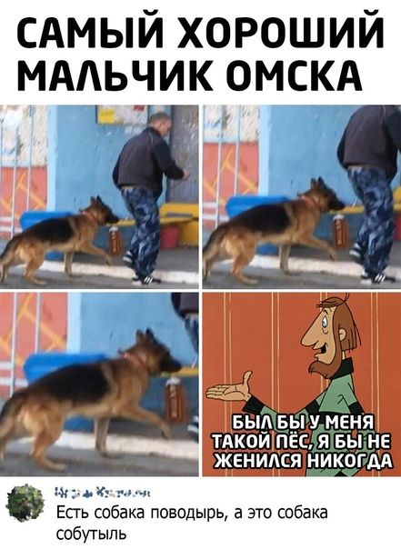 САМЫЙ хороший МААьчик омскА выЁвы тдкоишес вы не жениАся ни59_гАА Есгь собака поводырь а это собака собутыпь