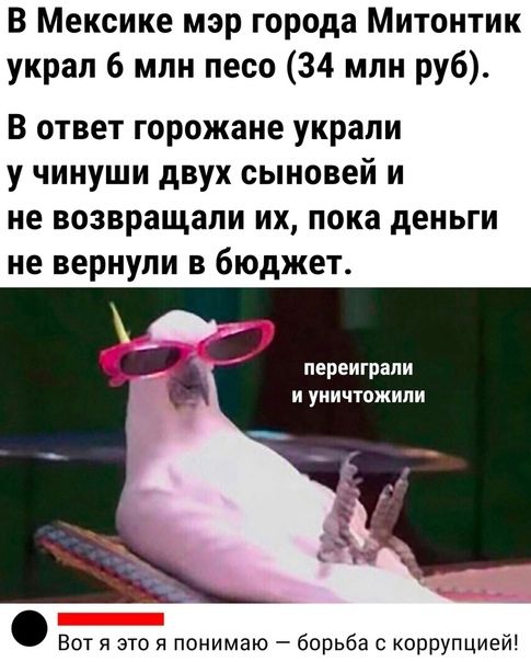 В Мексике мэр города Митонтик украл 6 млн песо 34 млн руб В ответ горожане украли у чинуши двух сыновей и не возвращали их пока деньги не вернули в бюджет переиграли и уничтожили Вот я это и понимаю борьба с коррупцией