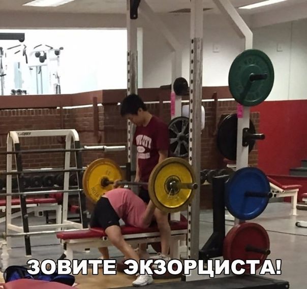 1 г Ежов ЕЭК ЗОРЦИСТА