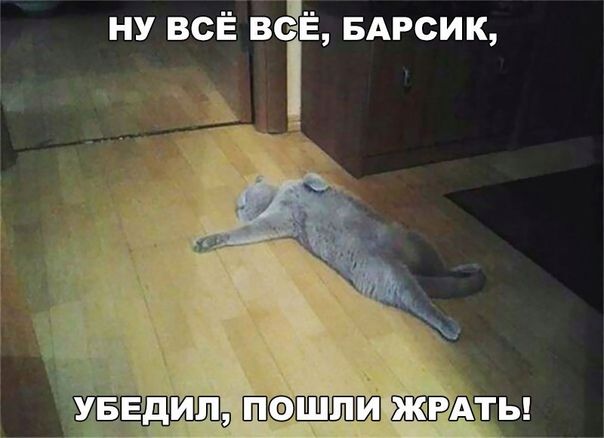 НУ ВСЁ В БАРСИК