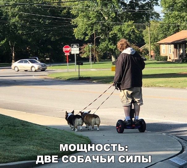 мощность дВЕ СОБАЧЬИ СИЛЫ