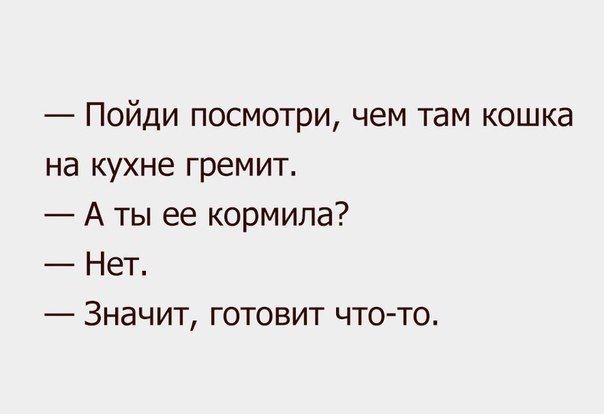 Пойди посмотри чем там кошка на кухне гремит А ты ее кормила Нет Значит готовит что то