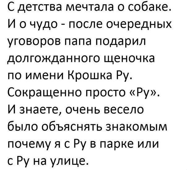 С детства мечтала о собаке И о чудо после очередных уговоров папа подарил долгожданного щеночка по имени Крошка Ру Сокращенно просто Ру И знаете очень весело было объяснять знакомым почему я с Ру в парке или с Ру на улице