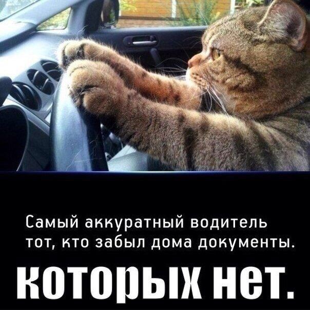 Самый аккуратный водитель тот кто забыл дома документы НПТППЫХ НВТ