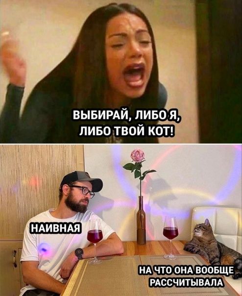 9 и МА что он воопще РАССЧИТЫВАПА