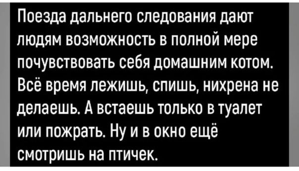 Поезда дальнего следования дЗЮТ ЛЮДЯМ ВОЗМОЖНОСТЬ В ПОЛНОЙ мере ПОЧУВСТВОВЭТЬ себя дОМЗШНИМ КОТОМ Всё время лежишь спишь нихрена не делаешь А встаешь только в туалет или пожрать Ну и в окно ещё смотришь на птичек