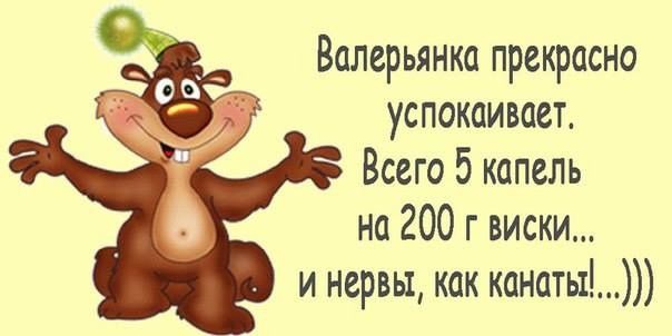 Валерьянка прекрасно успокаивает Всего 5 капель на 200 г виски и нервы как канаты_