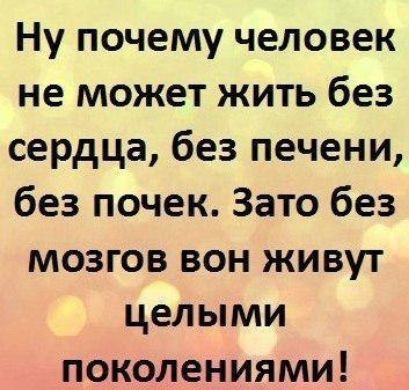 Ну почему человек не может жить без сердца без печени без почек Зато без мозгов вон живут целыми поколениями