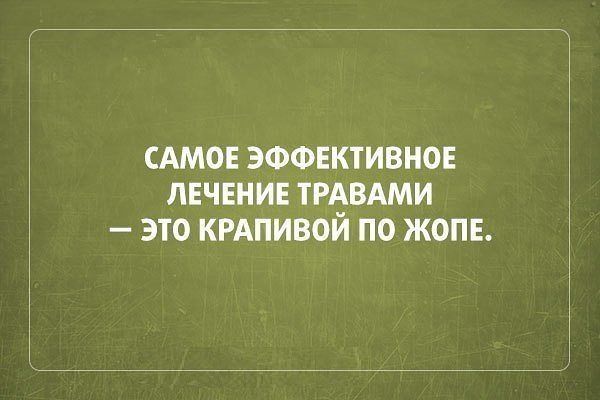 САМОЕ ЭФФЕКТИВНОЕ ЛЕЧЕНИЕ ТИЗВАМИ ЭТО КРАПИВОИ ПО ЖОПЕ