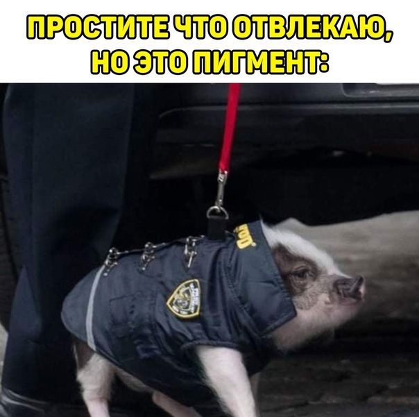 ПРОСЛИТЕЗМИООЛВЛЕКАЮЯ НОЭЛО ИПМЕНТЕ