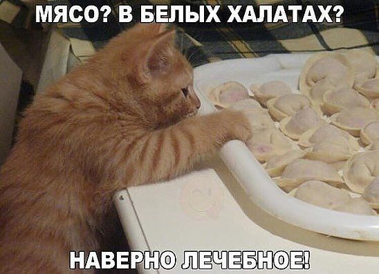 МЯСО В БЕЛЫХ ХАПАТАХ РТ 2