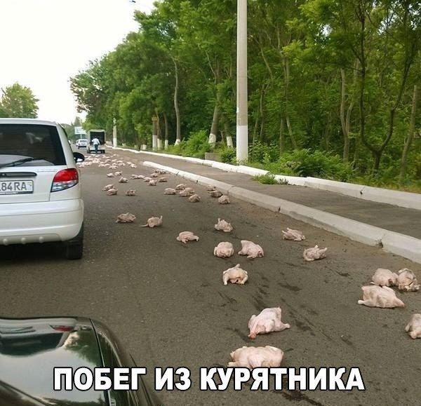 3 КУР З ён и