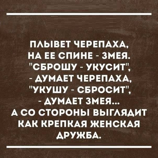 ПАЫВЕТ ЧЕРЕПАХА НА ЕЕ СПИНЕ ЗМЕЯ СБРОШУ УКУСИТ АУМАЕТ ЧЕРЕПАХА УКУШУ СБРОСИТ АУМАЕТ ЗМЕЯ А СО СТОРОНЫ ВЫГАЯАИТ КАК КРЕПКАЯ ЖЕНСКАЯ АРУЖБА