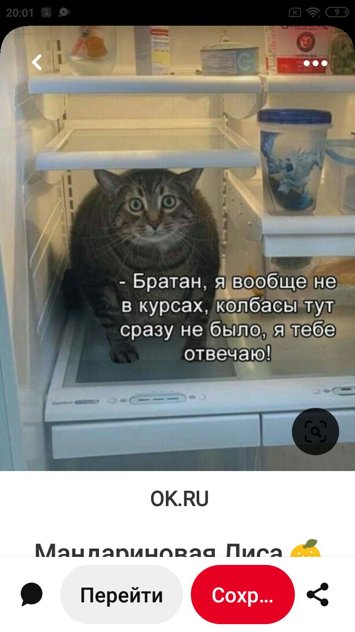 1 _ Братан я вообще не в курсах колбасы тут сразу не было я тебе отвечаю г Н ОКНО Міяц пяпмцппяа Пмоя Перейти Сохр