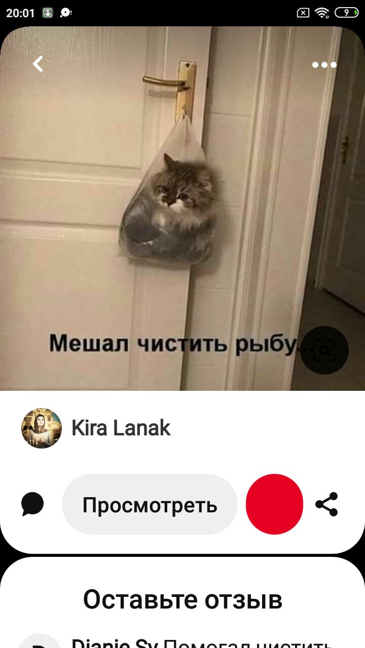 1001 и _а Мешал чис Кіга _апа Просмотреть Оставьте отзыв _ іпід еппд пипл гплтп