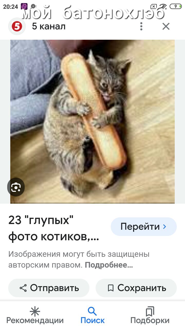 4 Еюи бг гонщлэб 5 канал 2 Х 23 глупых фото котиков Изображения могут быть защищены авторским правом Подробнее Перейти Отправить Сохранить ак СК Рекомендации Поиск Подборки