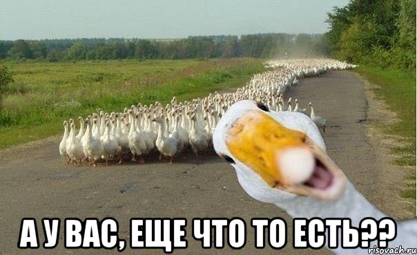 А У ВМ ЕЩЕ что то ЕВЩЬЗЕЩ